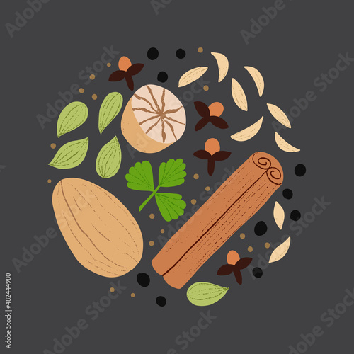 Garam masala spice mix. Flat hand drawn seasoning for cooking Indian food. Cinnamon, nutmeg, cumin, clove, cardamom, black pepper, coriander.