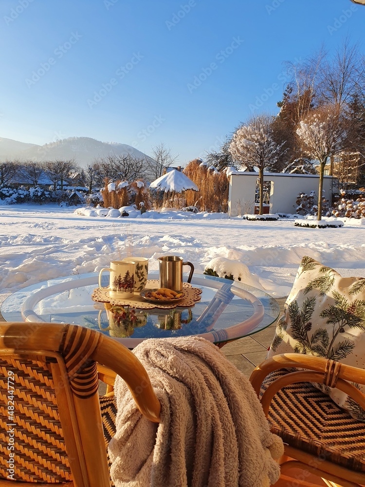 Fototapeta premium Piknik zimowy pod ciepłym kocem z kubkiem gorącej kawy w pięknym zimowym ogrodzie