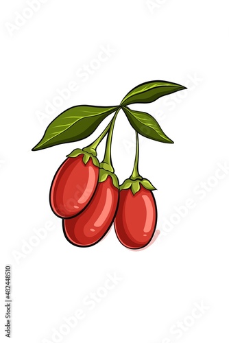 Goji berries red isolated on a white background