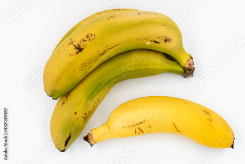 bananas from the Canary Islands, Spain
