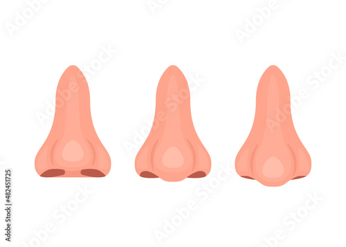 Types of noses, correction of nasal shape during rhinoplasty surgery. Snub-nosed, straight and downturned nose. Vector illustration