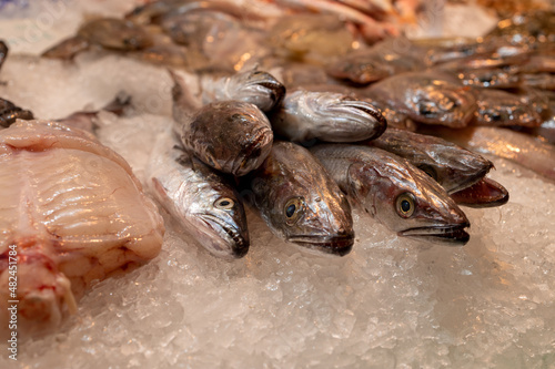 Peixes, frutos do mar no gelo para venda no mercado de peixe.