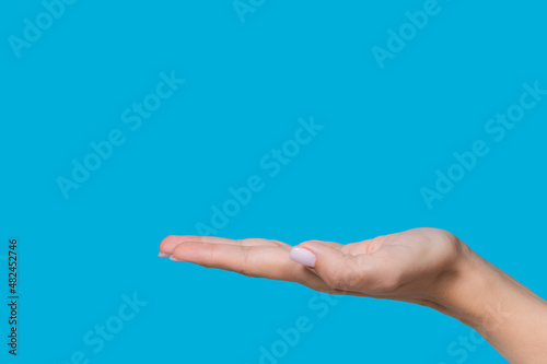 Close-up view stock photography of beautiful manicured outstretched empty flat female hand isolated on blue background 