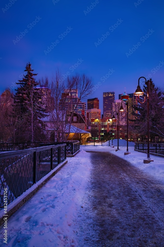 Obraz premium Snowy Pathway Through A City Park At Night