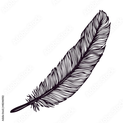 Hand drawn feather isolated on white background. Ink drawing logo or label. vector illustrations.