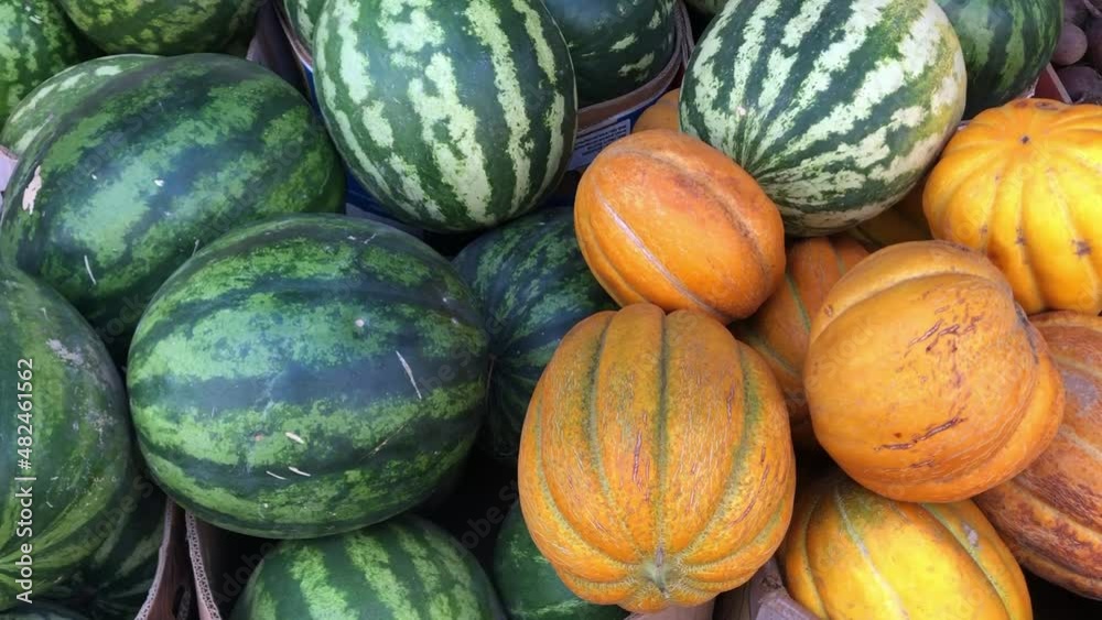 melons and watermelons at the farmer's market melons and watermelons at the farmer's market
