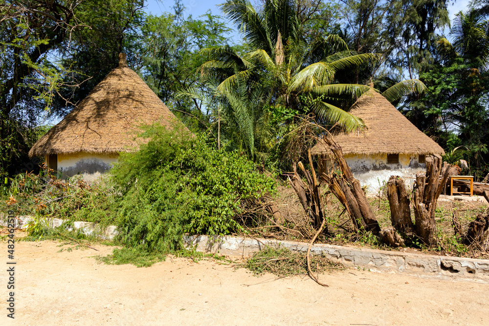 Traditional houses under palm trees Traditional houses under palm trees