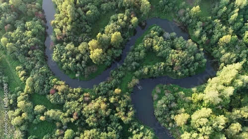 Flying a drone over a beautiful summer forest and a winding river. Aerial landscape