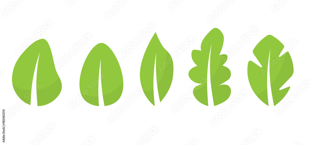 different green leaves set - vector illustration different green leaves set - vector illustration