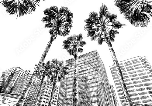 San Francisco city hand drawn. Street sketch, vector illustration