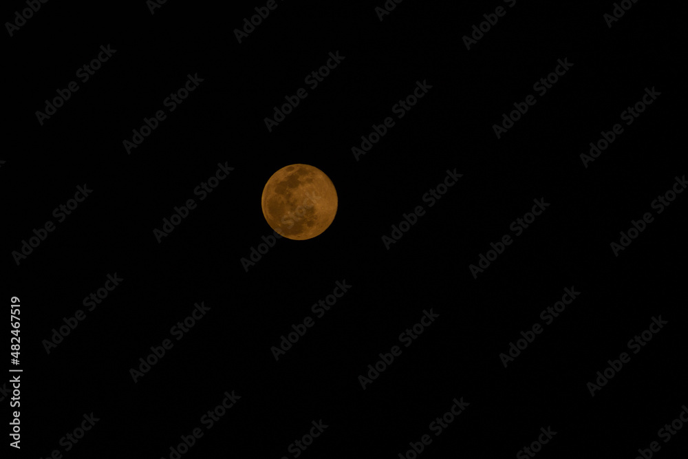 Luna Luna