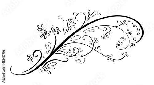 fancy design element, curly vine wedding invitation accent, calligraphy vector of floral curls and swirls in hand drawn underline or divider illustration