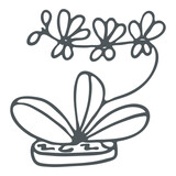 Hand drawn phalaenopsis orchid outline icon in doodle style. Vector liner illustration for print, web, mobile and infographics isolated on white background.  