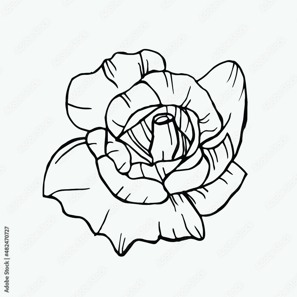 Cute single hand drawn floral elements. Doodle vector illustration Cute single hand drawn floral elements. Doodle vector illustration
