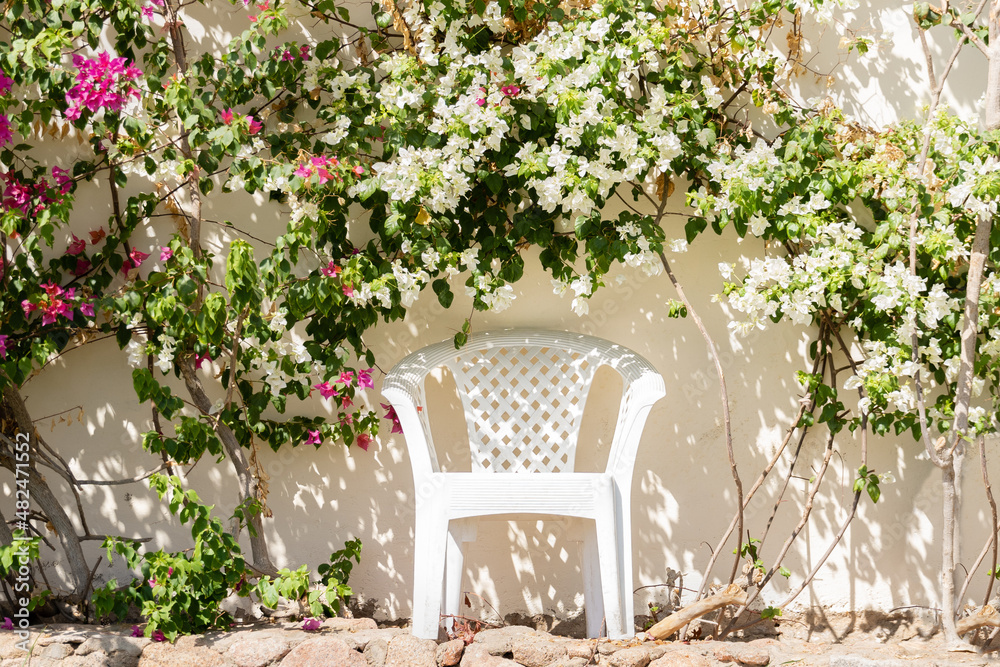 White plastic chair by the white stone wall among the flowering shrubs of bougainvillea 