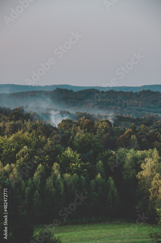 End of summer landscape forest
