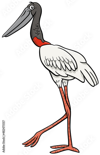 jabiru bird animal character cartoon illustration
