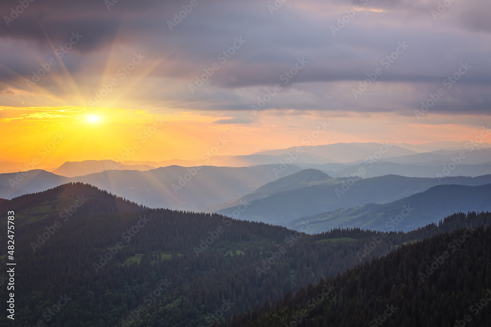 landscape in the Alps with fresh green meadows and blooming flowers and snow-capped mountain tops in the background landscape in the Alps with fresh green meadows and blooming flowers and snow-capped mountain tops in the background