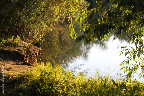 nature