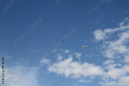 flying in the sky