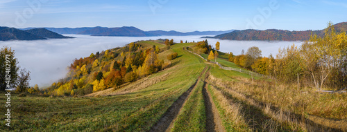 Morning foggy clouds in autumn mountain countryside.  Ukraine  Carpathian Mountains  Transcarpathia. Peaceful picturesque traveling  seasonal  nature and countryside beauty concept scene.