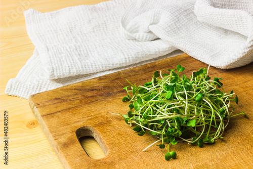 Bunch of daikon radish microgreen sprouts on the wooden cutting board close up. Radish green shoots at the kitchen table. Fresh, homegrown greenery