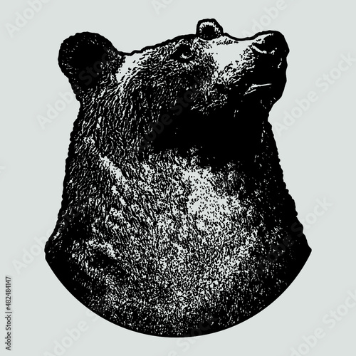 Ilustración vectorial oso minimalista silueta efecto a mano alzada 