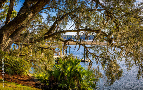 A large live oak tree with Spanish moss hanging from its limbs along the shores of the May River in Bluffton SC. with a boat dock in the back ground.  photo