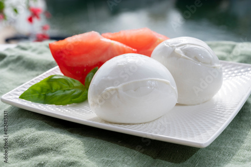 Cheese collection, fresh Italian soft cheese mozzarella di bufal campana served with fresh basil and tomatoes