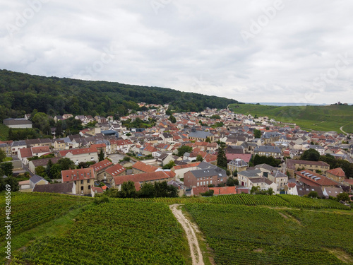 View on lighthouse and green pinot noir grand cru vineyards of famous champagne houses in Montagne de Reims near Verzenay, Champagne, France