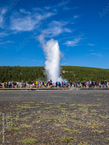 People watching Old faithful geyser erupting in summer, Yellowstone National Park Wyoming hot springs.