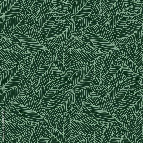 Elegant seamless pattern with delicate leaves. Vector Hand drawn floral background. © Oleksandra