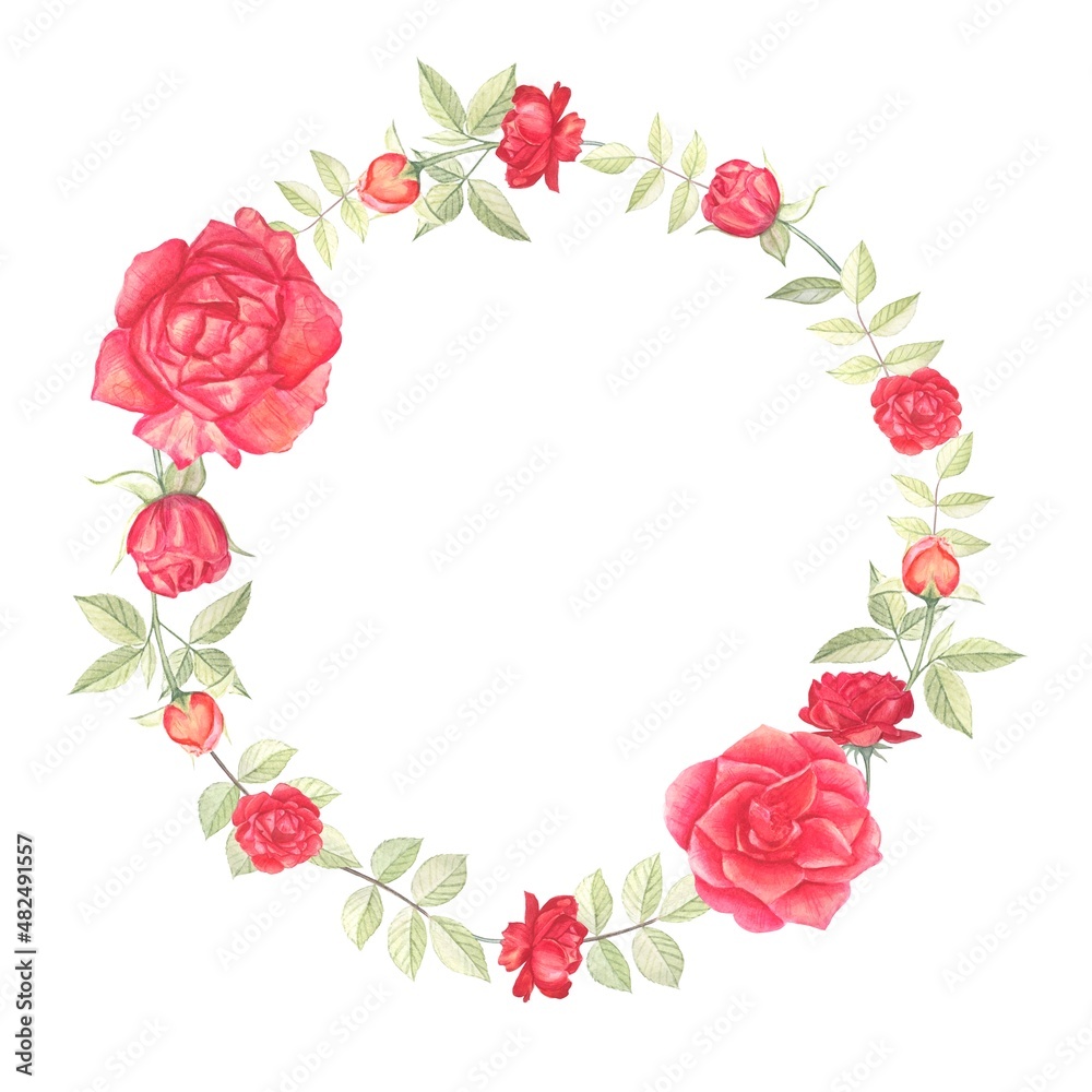 Wreath, frame, border.Summer round wreath of red roses with leaves. Hand-drawn watercolor illustration. Wreath, frame, border.Summer round wreath of red roses with leaves. Hand-drawn watercolor illustration.
