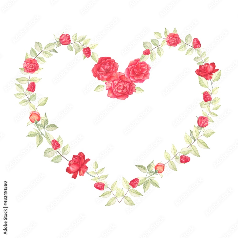 Summer wreath of red roses with leaves and raspberries, in the shape of a heart.Hand-drawn watercolor illustration. Summer wreath of red roses with leaves and raspberries, in the shape of a heart.Hand-drawn watercolor illustration.