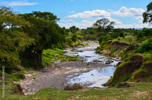 A dry river bed in the savannah, Masai MAra, Kenya, Africa