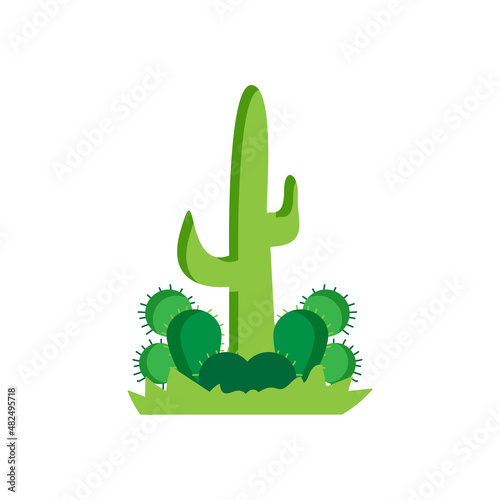 Isolated cactus icon Enviroment concept Vector illustration
