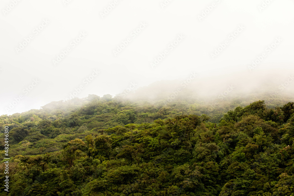 Misty landscape in Monteverde, CostaRica Misty landscape in Monteverde, CostaRica