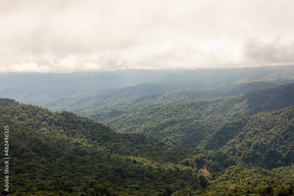 Fototapeta premium Misty landscape in Monteverde, CostaRica