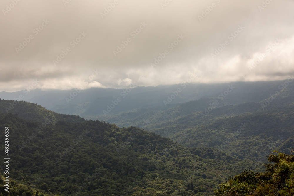 Fototapeta premium Misty landscape in Monteverde, CostaRica