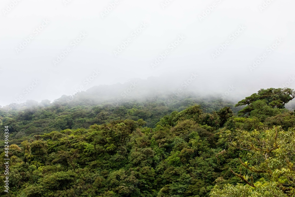 Fototapeta premium Misty landscape in Monteverde, CostaRica