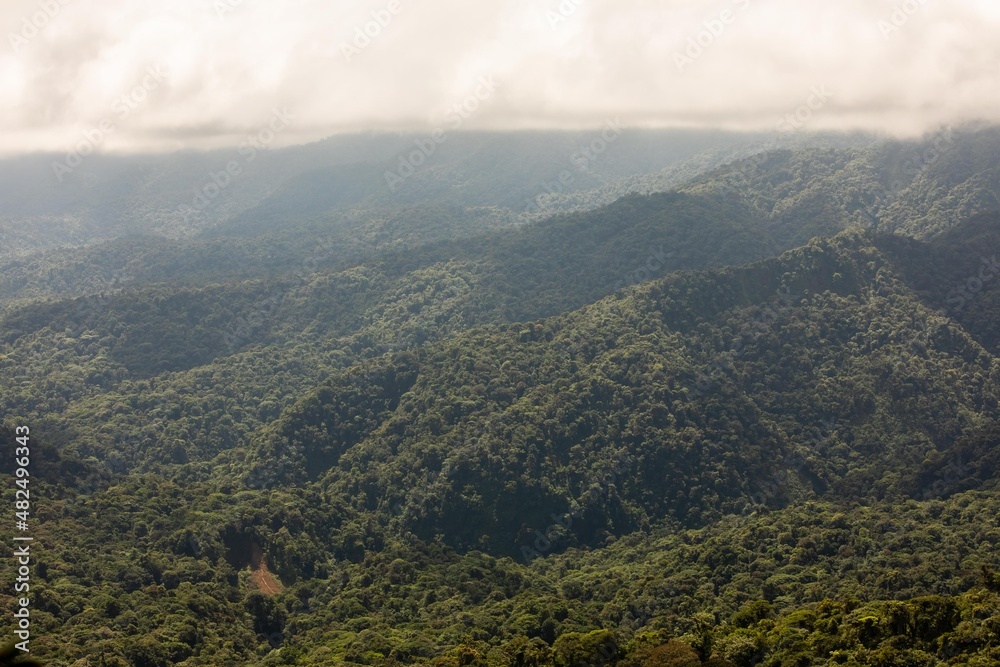 Obraz premium Misty landscape in Monteverde, CostaRica