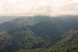 Misty landscape in Monteverde, CostaRica