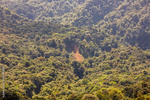 Misty landscape in Monteverde, CostaRica © anca enache