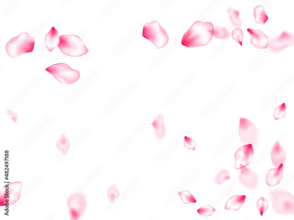 Spring blossom isolated petals flying