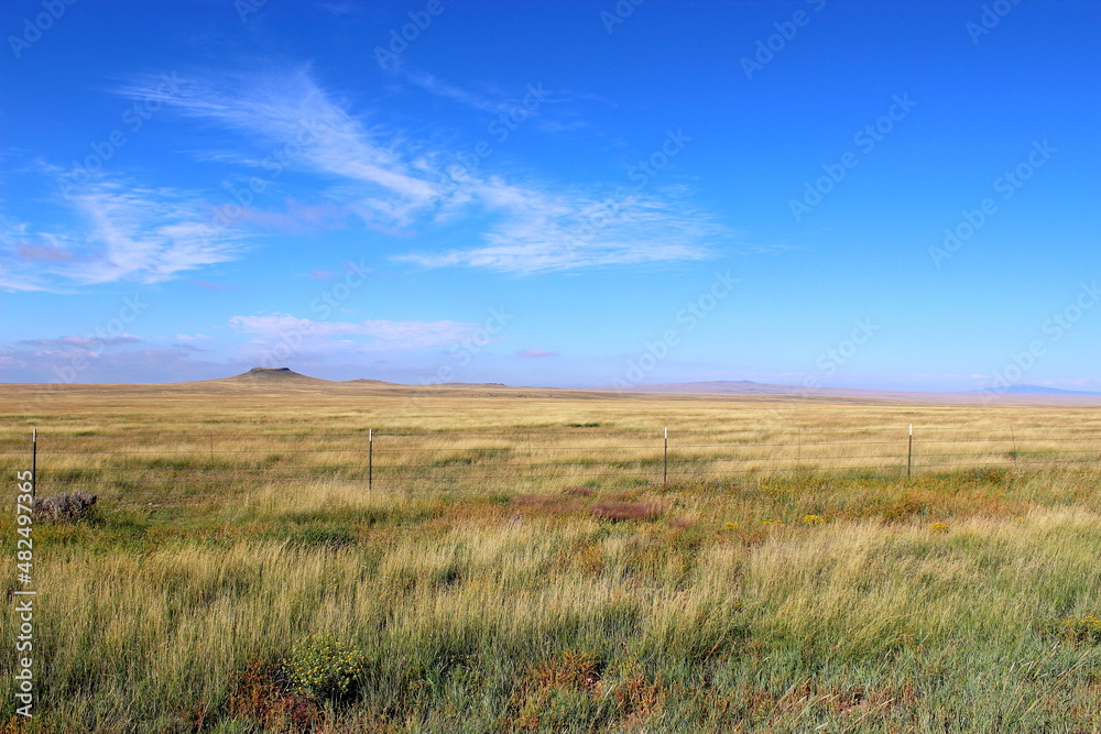 Field of grass with blue sky
