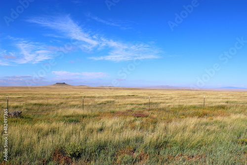 Field of grass with blue sky