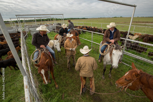 Cowboy, rancher, cattleman and wrangler, most on horseback, talking over plans during roundup in the cowyard pens on the beef cattle ranch
