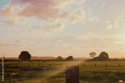 Paisagem de fazenda de gado em lindo dia de sol
Natureza e céu incríveis photo