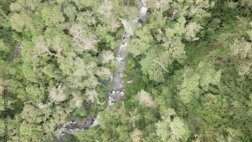 Acercamiento a arboles y arroyo.