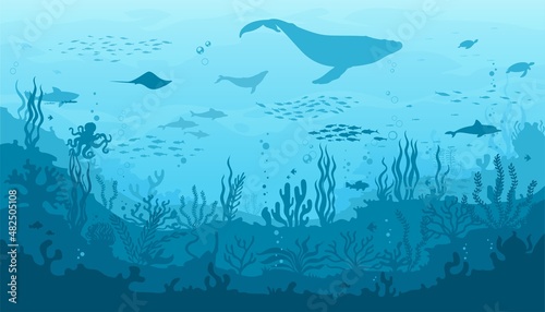 Ocean underwater landscape, seaweed and reef, fish school, whale silhouette. Sea bottom landscape, seafloor seascape vector background with ocean flora and fauna, corals, sea animal silhouettes © Vector Tradition